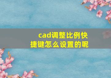 cad调整比例快捷键怎么设置的呢