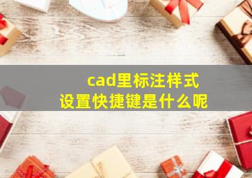 cad里标注样式设置快捷键是什么呢