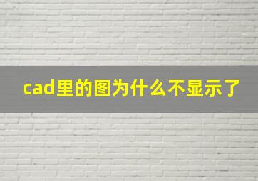 cad里的图为什么不显示了