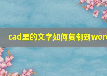 cad里的文字如何复制到word