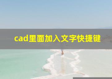 cad里面加入文字快捷键