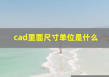 cad里面尺寸单位是什么