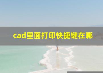 cad里面打印快捷键在哪