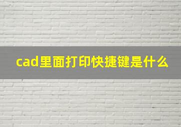 cad里面打印快捷键是什么