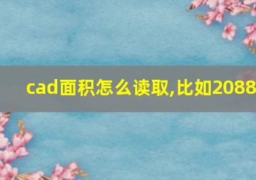 cad面积怎么读取,比如2088