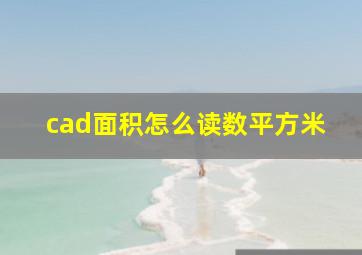 cad面积怎么读数平方米