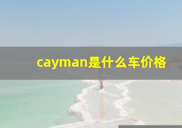 cayman是什么车价格