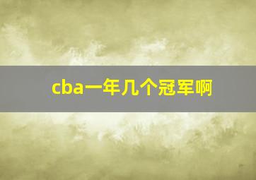 cba一年几个冠军啊