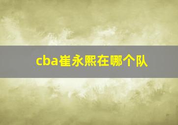 cba崔永熙在哪个队