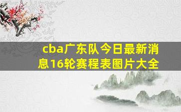 cba广东队今日最新消息16轮赛程表图片大全