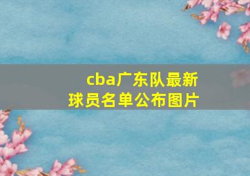 cba广东队最新球员名单公布图片