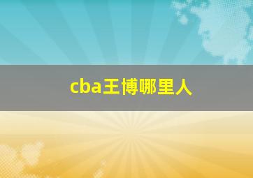 cba王博哪里人