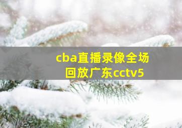 cba直播录像全场回放广东cctv5