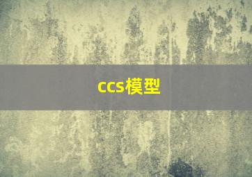 ccs模型