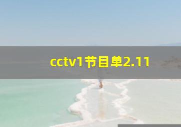 cctv1节目单2.11