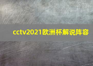 cctv2021欧洲杯解说阵容