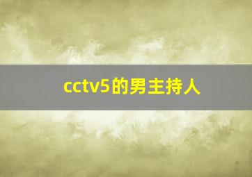 cctv5的男主持人