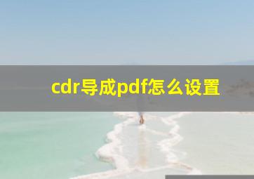 cdr导成pdf怎么设置