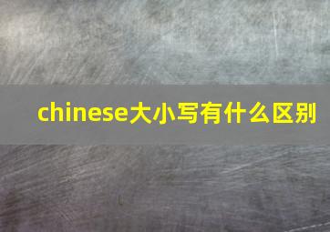 chinese大小写有什么区别