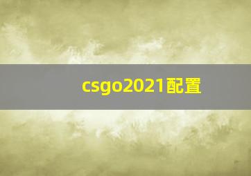 csgo2021配置