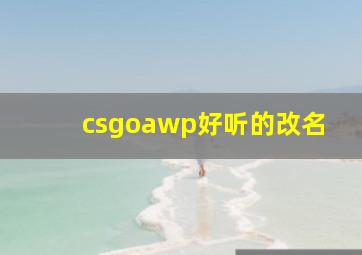 csgoawp好听的改名