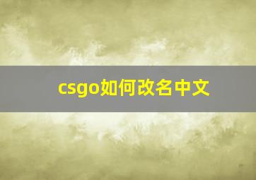 csgo如何改名中文