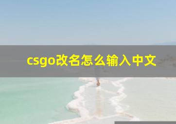 csgo改名怎么输入中文