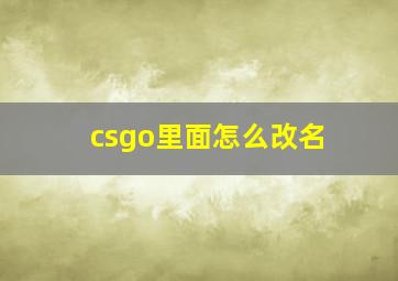 csgo里面怎么改名