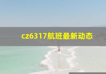 cz6317航班最新动态