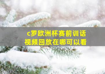 c罗欧洲杯赛前训话视频回放在哪可以看