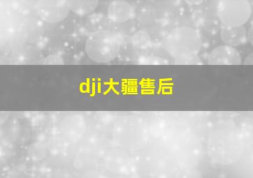 dji大疆售后