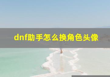 dnf助手怎么换角色头像