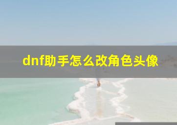 dnf助手怎么改角色头像