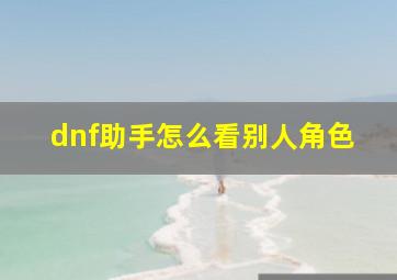 dnf助手怎么看别人角色