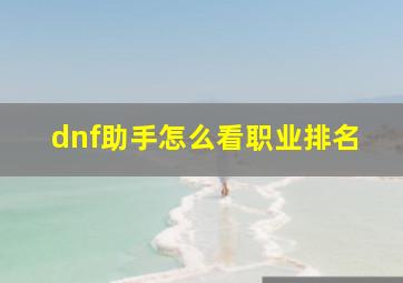 dnf助手怎么看职业排名