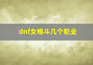 dnf女格斗几个职业