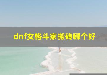 dnf女格斗家搬砖哪个好