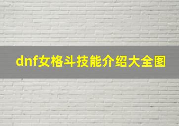 dnf女格斗技能介绍大全图