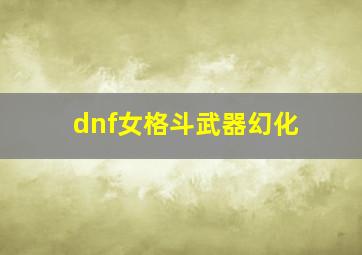 dnf女格斗武器幻化