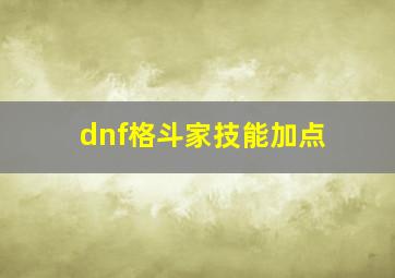 dnf格斗家技能加点