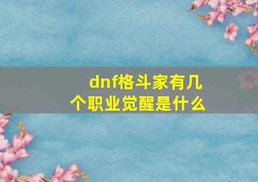 dnf格斗家有几个职业觉醒是什么