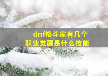 dnf格斗家有几个职业觉醒是什么技能