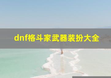 dnf格斗家武器装扮大全