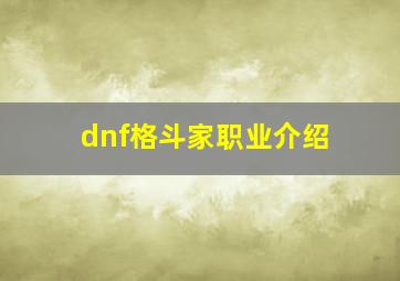 dnf格斗家职业介绍