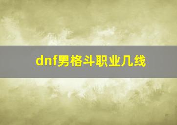 dnf男格斗职业几线