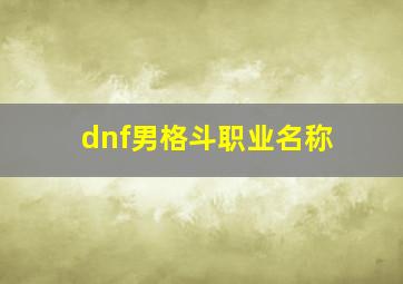 dnf男格斗职业名称