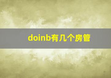 doinb有几个房管