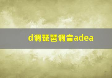 d调琵琶调音adea