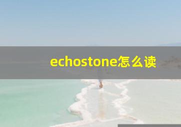 echostone怎么读