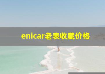 enicar老表收藏价格